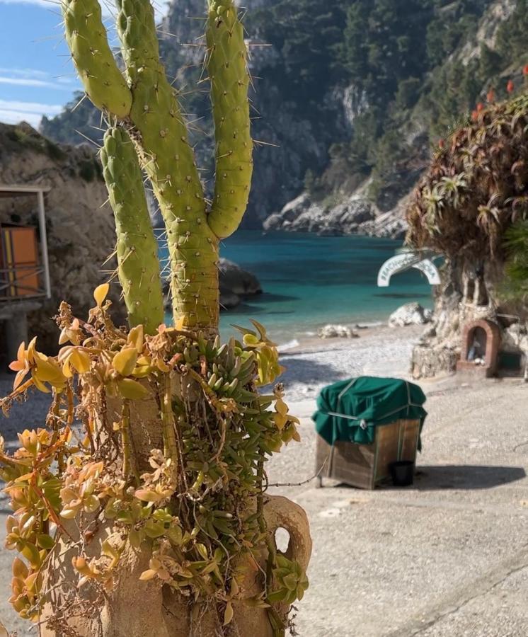 Capri Magic House On The Beach Eksteriør bilde